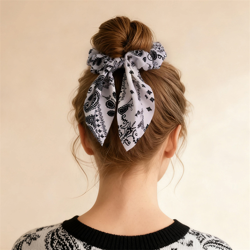 Hair Tie Velvet - Lot de 2 chouchous imprimés –